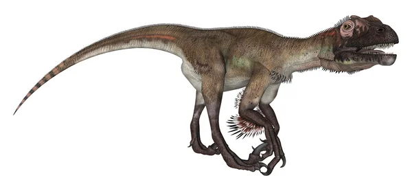 Динозавр utahraptor — стокове фото