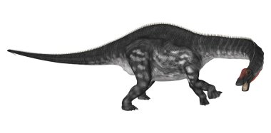 Dinozor Apatosaurus