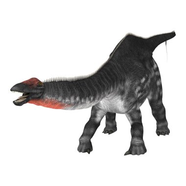 Dinozor Apatosaurus