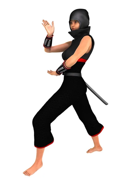Ninja. — Fotografia de Stock