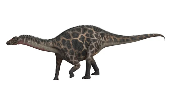 Dicraeosaurio dinosaurio —  Fotos de Stock