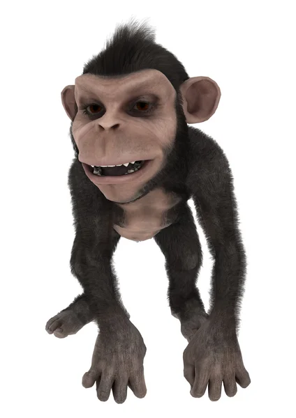 Маленький шимпанзе — стоковое фото