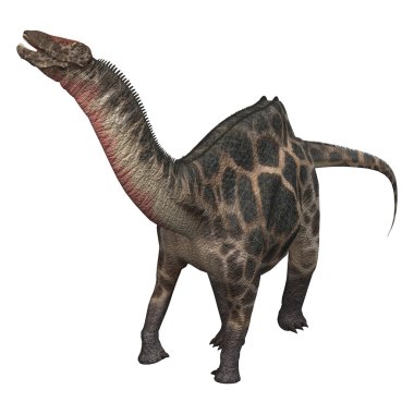 Dinozor Dicraeosaurus