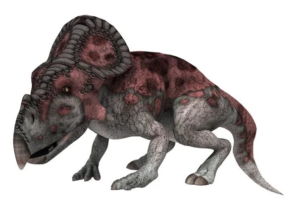 Protoceratopy dinozaurów — Zdjęcie stockowe