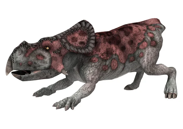 Динозавр Protoceratops — стокове фото