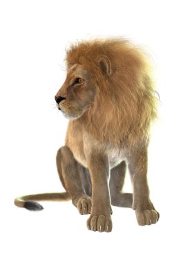 Aslan