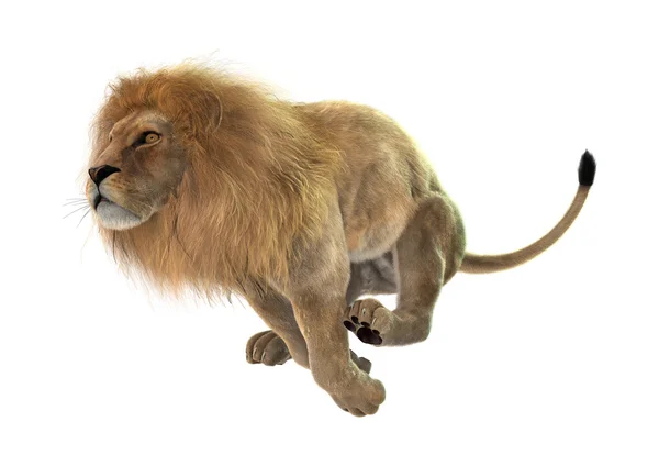 Sprunghafter Löwe — Stockfoto