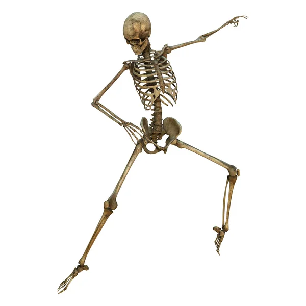 Dansande skelett — Stockfoto