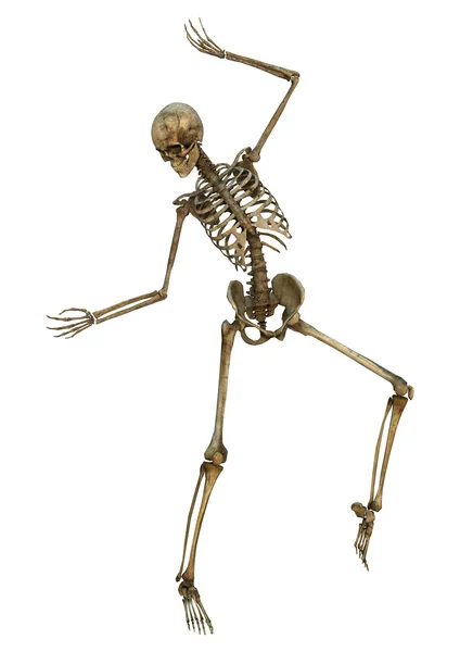 Ο σκελετός χορός — Φωτογραφία Αρχείου