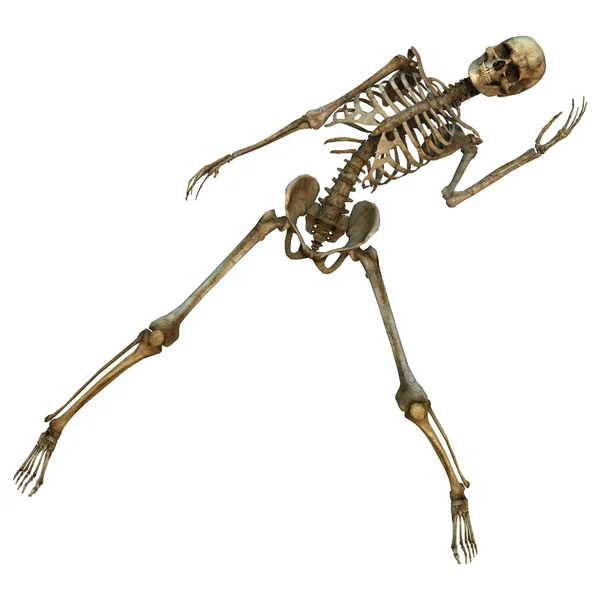 Dansend skelet — Stockfoto