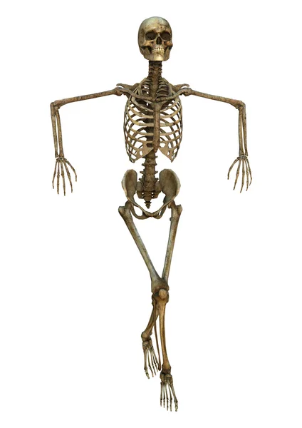 Dancing Skeleton — Stock Photo, Image