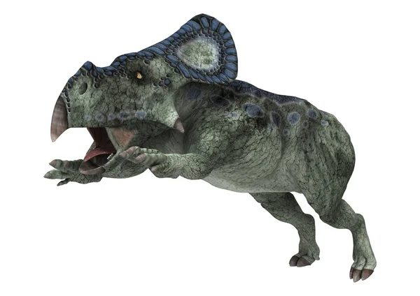 Dinoszaurusz Protoceratopok — Stock Fotó