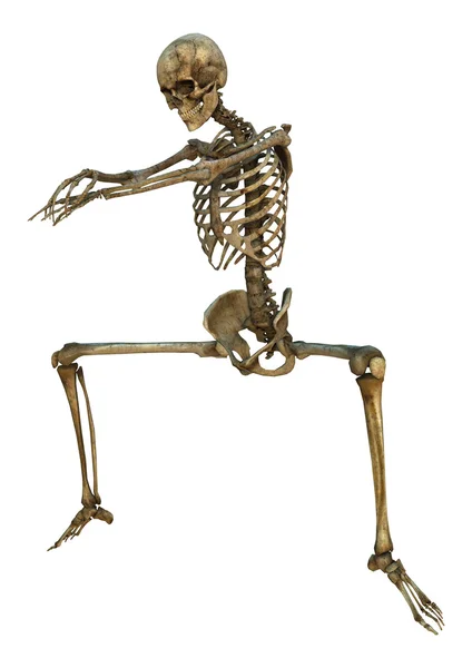 Dancing Skeleton — Stock Photo, Image