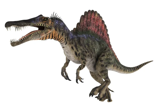 Dinoszaurusz spinosaurus — Stock Fotó