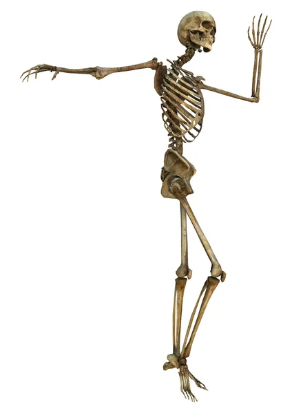 Танцующий скелет — стоковое фото