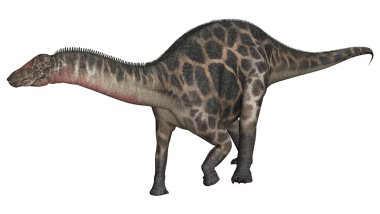Dinozor Dicraeosaurus