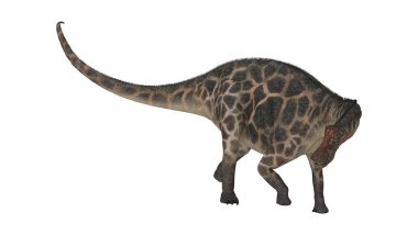 Dinozor Dicraeosaurus
