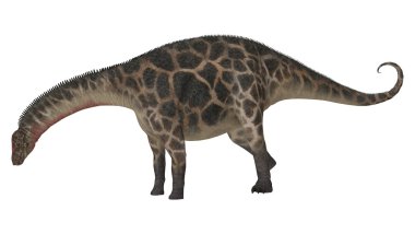 Dinozor Dicraeosaurus