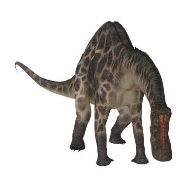 Dinozor Dicraeosaurus