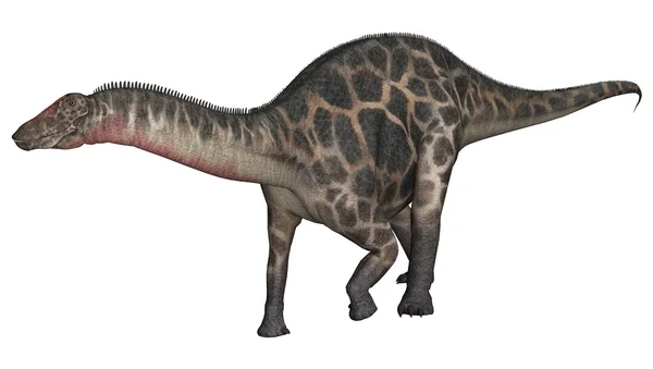 Dicraeosaurio dinosaurio — Foto de Stock