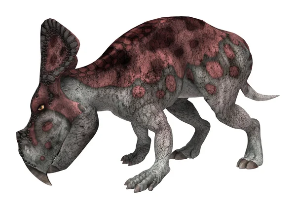 Dinozor Protoceratops — Stok fotoğraf