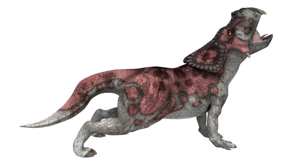 Динозавр Працератопс — стоковое фото
