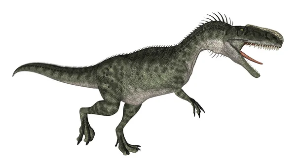 Dinosaur Monolophosaurus — Stock Photo, Image