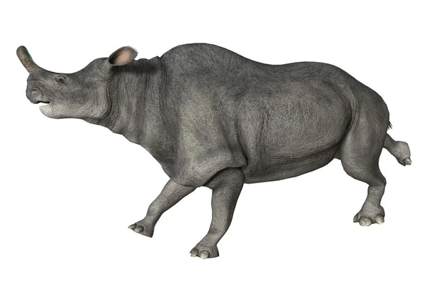 Brontotherium — Stok fotoğraf