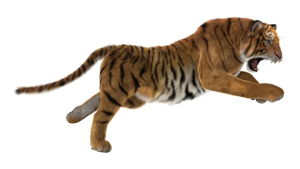 Hunting Tiger — Stock Photo, Image