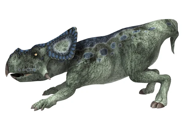 Protoceratopy dinozaurów — Zdjęcie stockowe