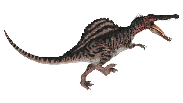 Dinosaurus spinosaurus — Stock fotografie