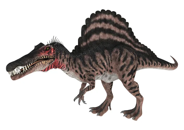 Dinosauro Spinosaurus — Foto Stock