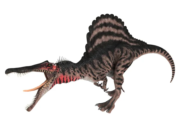 Dinosaur Spinosaurus — Stockfoto