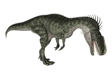 dinozor monolophosaurus
