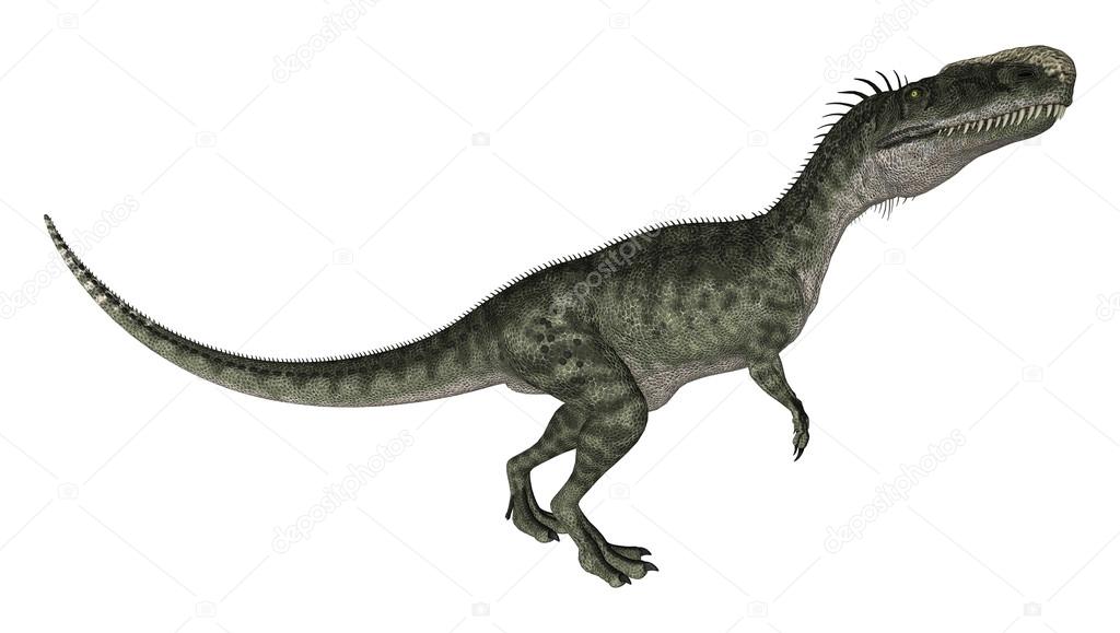 Dinosaur Monolophosaurus