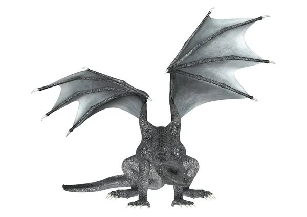 Dragon — Stock Photo, Image