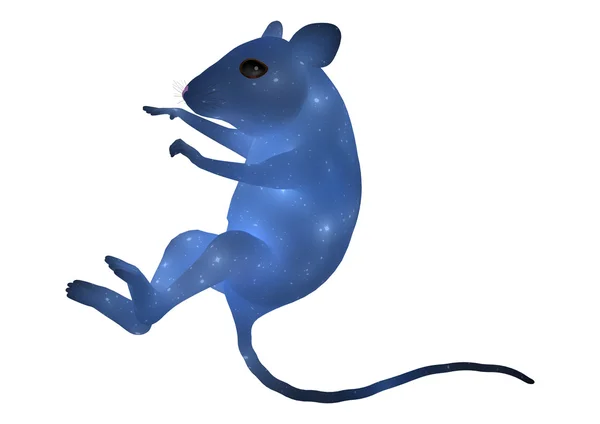 Rato azul — Fotografia de Stock