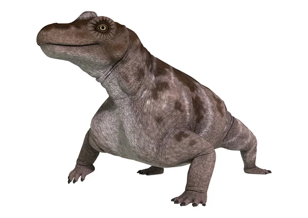 Dinozaur Keratocephalus — Zdjęcie stockowe