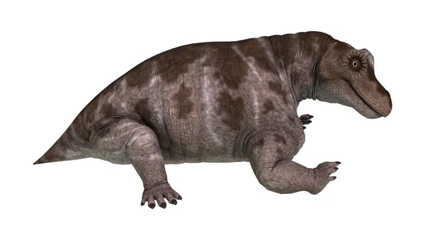 Dinosaurier-Keratocephalus — Stockfoto