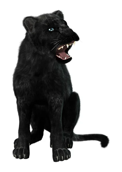 Schwarzer Panther — Stockfoto