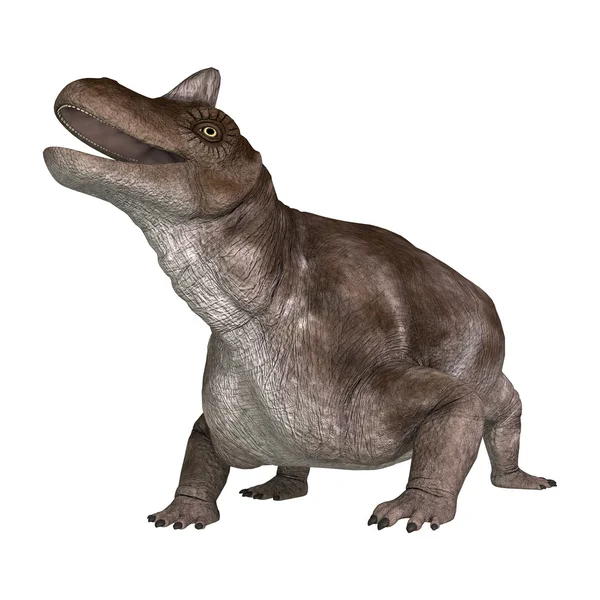 Dinosaur Keratocephalus — Stockfoto