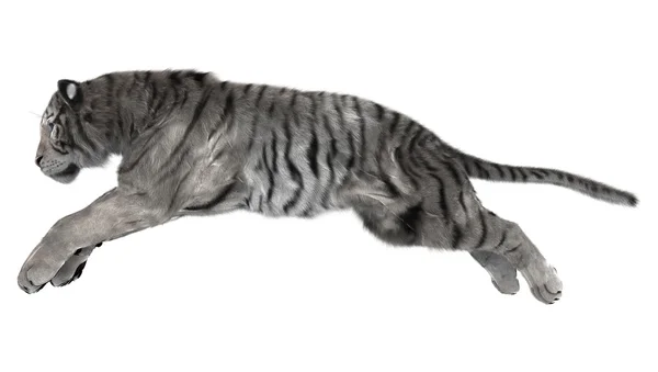 Weißer Tiger — Stockfoto