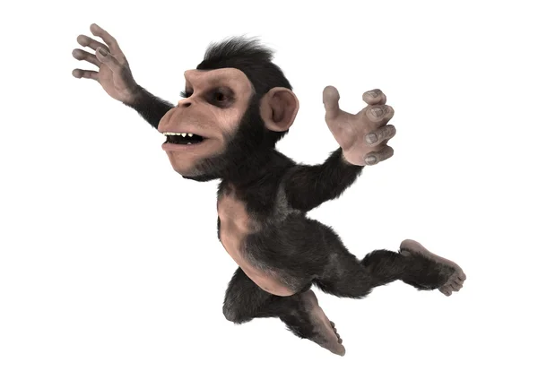 Piccolo Scimpanzé — Foto Stock