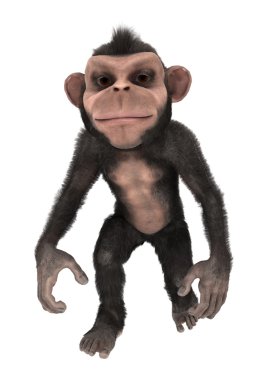 Küçük şempanze
