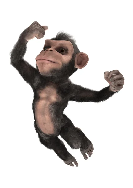 Little Chimp — Stock Photo, Image