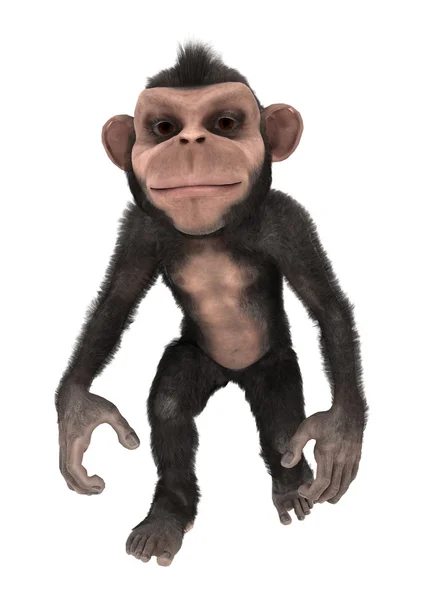 Little Chimp — Stock Photo, Image