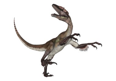 dinozor utahraptor