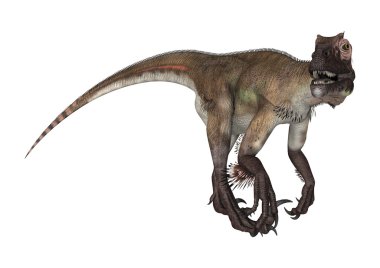 dinozor utahraptor