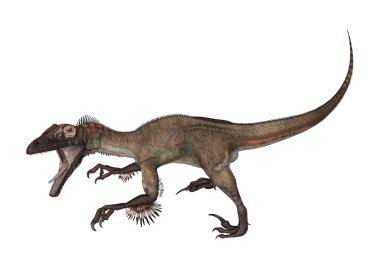 dinozor utahraptor