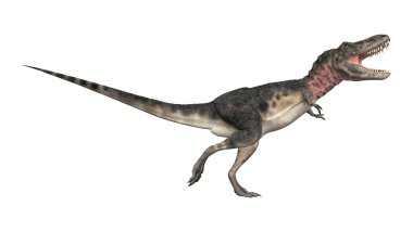 dinozor tarbosaurus